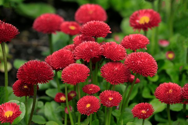 Débarras de maison après héritage : facilitez-vous la vie !